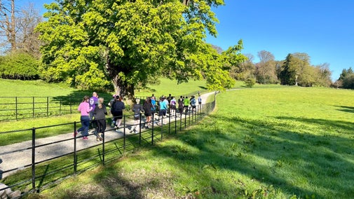 Trust10 at Derrymore